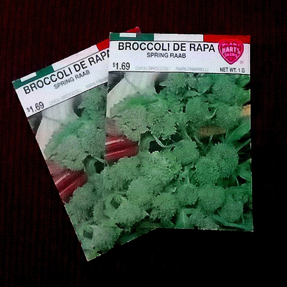 Broccoli seed packets